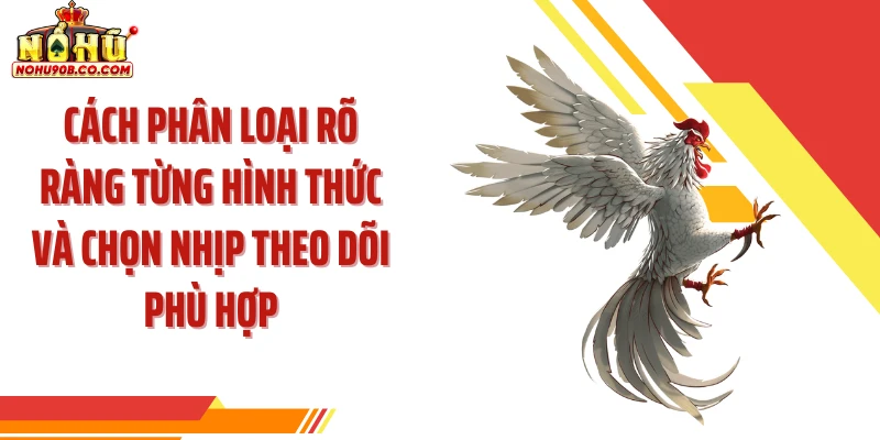 Cách phân loại rõ ràng từng hình thức và chọn nhịp theo dõi phù hợp