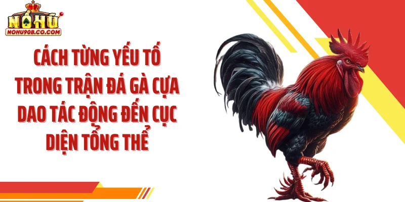 Cách từng yếu tố trong trận đá gà cựa dao tác động đến cục diện tổng thể