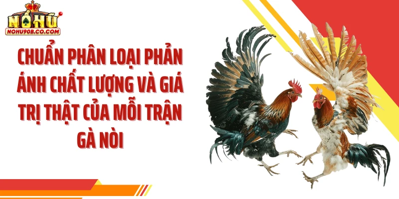 Chuẩn phân loại phản ánh chất lượng và giá trị thật của mỗi trận gà nòi