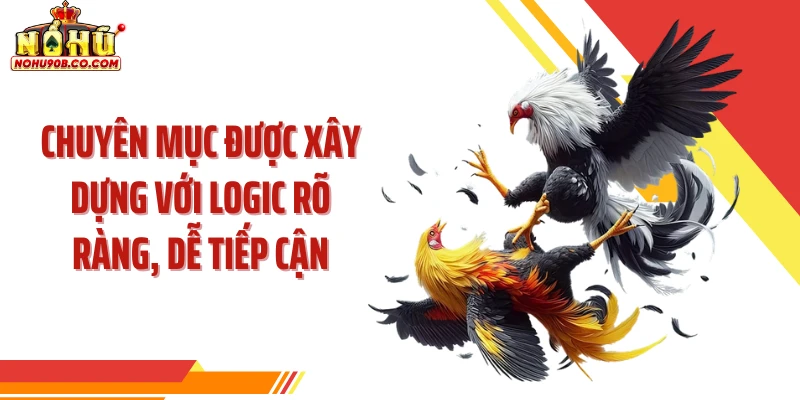Chuyên mục được xây dựng với logic rõ ràng, dễ tiếp cận