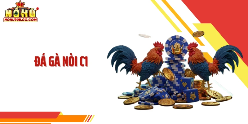 Đá Gà Nòi C1 Là Gì? Vì Sao Luôn Ở Đỉnh Cao Trận Đấu Kịch Tính