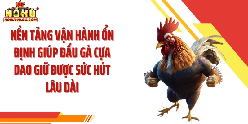 Nền tảng vận hành ổn định giúp đấu gà cựa dao giữ được sức hút lâu dài